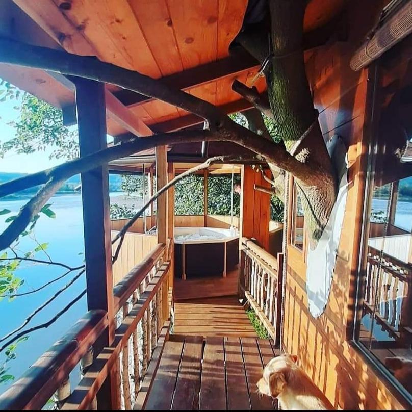Holiday Home Kucica Na Drvetu Banja Koviljača Exteriér fotografie