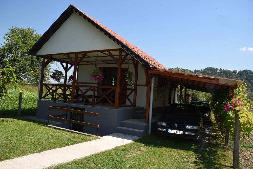 Holiday Home Kucica Na Drvetu Banja Koviljača Exteriér fotografie